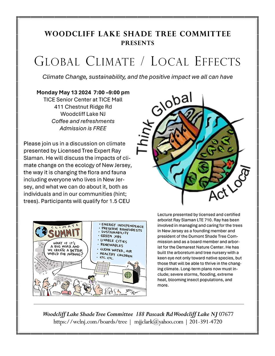 A climate change lecture flyer. It has a white background with textual information about the event. There is a comic panel of a cartoon man giving a climate change lecture at a summit to a crowd.