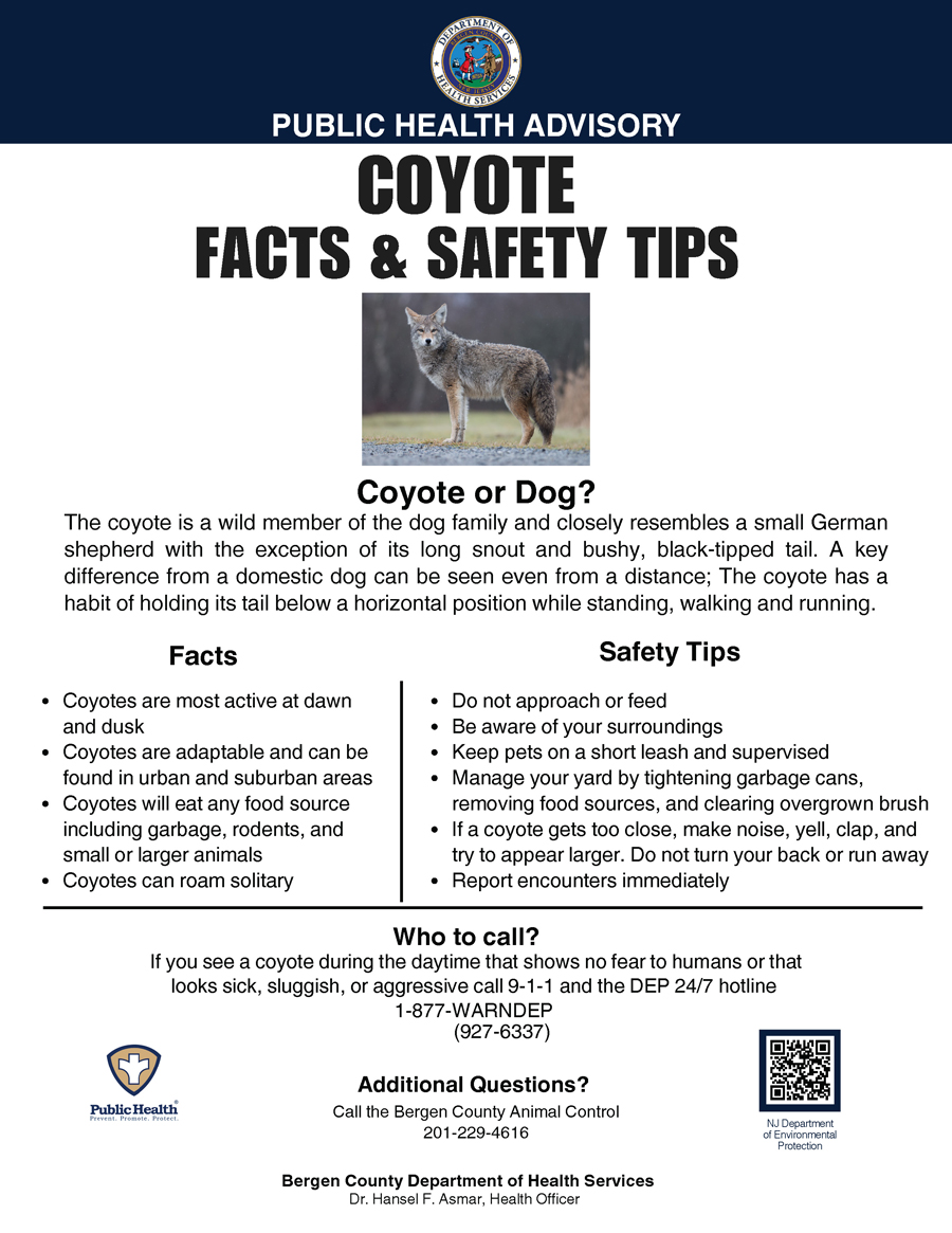 Public Health Advisory Notice - Coyote Sightings and Information. Click to open an OCR scanned PDF version of it.
